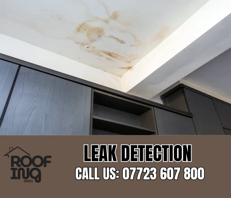 Roof Leak Detection in Barnstaple