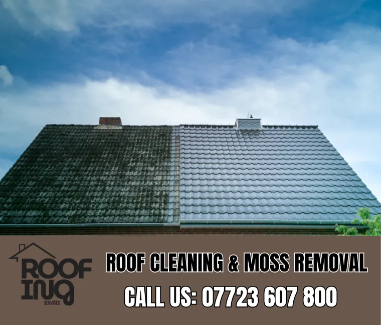 Roof cleaning and moss removal in Barnstaple
